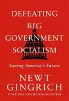 Defeating Big Government Socialism cover