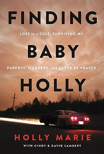 Finding Baby Holly cover