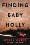 Finding Baby Holly cover
