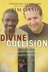 Divine Collision cover