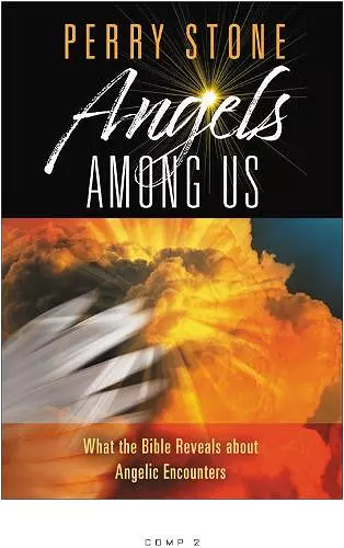 Angels Among Us cover