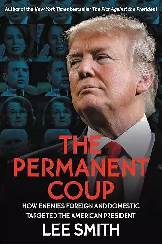 The Permanent Coup cover