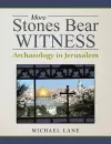 More Stones Bear Witness cover