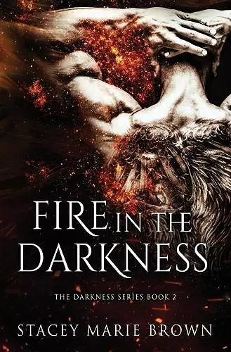 Fire in the Darkness cover