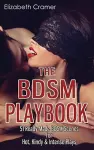 The BDSM Playbook cover