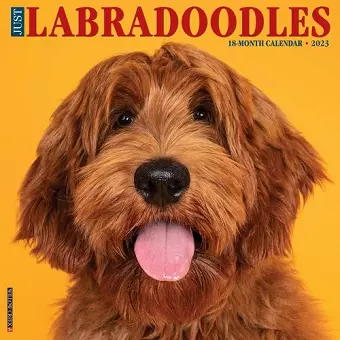 Just Labradoodles 2023 Wall Calendar cover