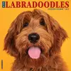 Just Labradoodles 2023 Wall Calendar cover