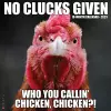 No Clucks Given 2023 Wall Calendar cover