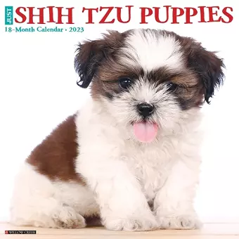 Just Shih Tzu Puppies 2023 Wall Calendar cover