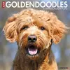 Just Goldendoodles 2024 12 X 12 Wall Calendar cover
