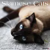 Siamese Cats 2024 12 X 12 Wall Calendar cover