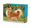 Chihuahuas 2024 6.2 X 5.4 Box Calendar cover