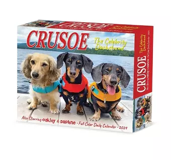 Crusoe the Celebrity Dachshund 2024 6.2 X 5.4 Box Calendar cover