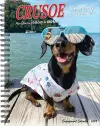 Crusoe the Celebrity Dachshund 2024 6.5 X 8.5 Engagement Calendar cover