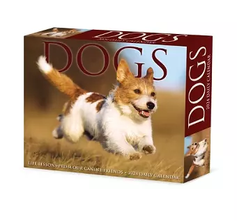 Dogs 2024 6.2 X 5.4 Box Calendar cover