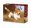 Dogs 2024 6.2 X 5.4 Box Calendar cover