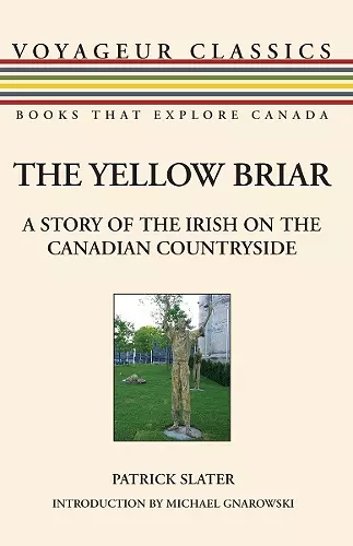 The Yellow Briar cover