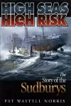 High Seas, High Risk cover