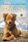 Harry cover