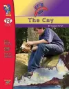 The Cay, by Theodore Taylor Lit Link Grades 7-8 cover