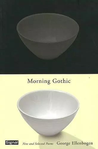 Morning Gothic cover