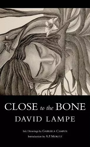 Close to the Bone cover