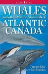 Whales and Other Marine Mammals of Atlantic Canada cover