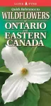 Quick Reference to Wildflowers of Ontario and Eastern Canada cover