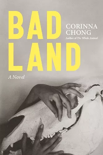 Bad Land cover