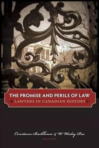 The Promise and Perils of Law cover