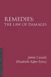 Remedies 3/e cover