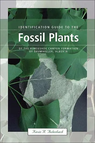 Identification Guide to the Fossil Plants of the Horseshoe Canyon Formation of Drumheller, Alberta cover