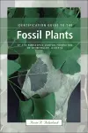 Identification Guide to the Fossil Plants of the Horseshoe Canyon Formation of Drumheller, Alberta cover