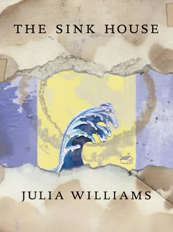 The Sink House cover