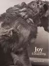 Joy Is So Exhausting cover