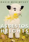 Asbestos Heights cover