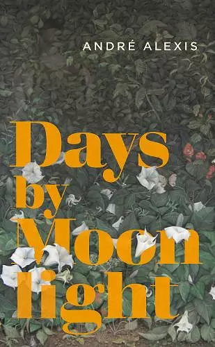 Days by Moonlight cover