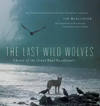 The Last Wild Wolves cover