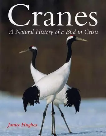 Cranes cover