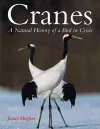 Cranes cover
