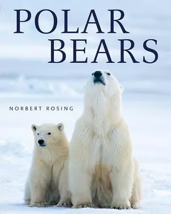 Polar Bears cover