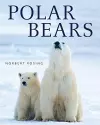 Polar Bears cover