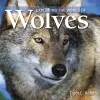 Exploring the World of Wolves cover