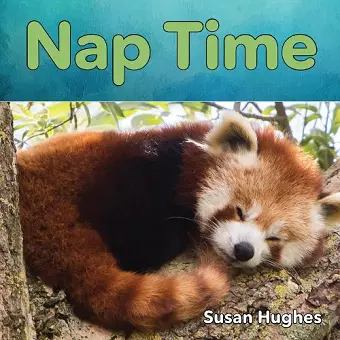 Nap Time cover