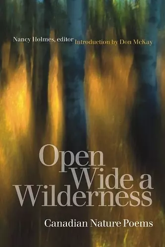 Open Wide a Wilderness cover