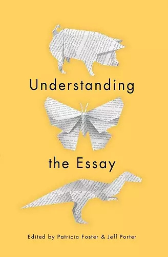 Understanding the Essay cover