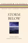 Storm Below cover