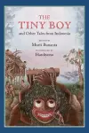 The Tiny Boy and Other Tales from Indonesia cover