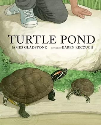 Turtle Pond cover