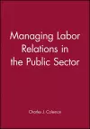 Managing Labor Relations in the Public Sector cover